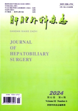 肝胆外科杂志杂志